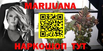 гидропоника Пугачёв