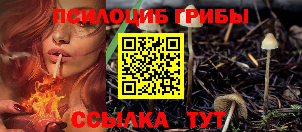 Галлюциногенные грибы прущие грибы  Галлюциногенные грибы Magic Shrooms  Петропавловск-Камчатский  Вход с VPN 