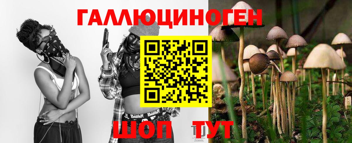 Галлюциногенные грибы Magic Shrooms Петропавловск-Камчатский